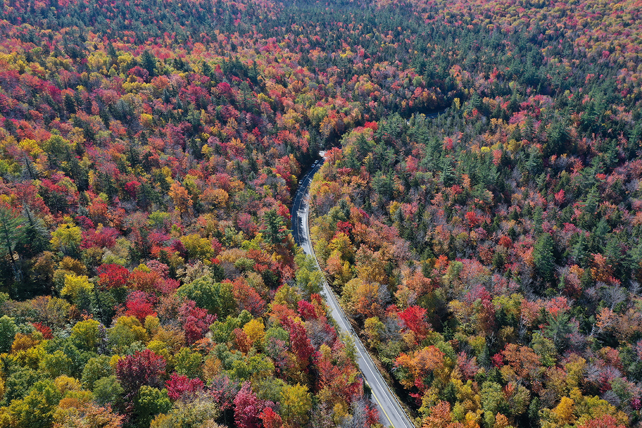 New Hampshire1
