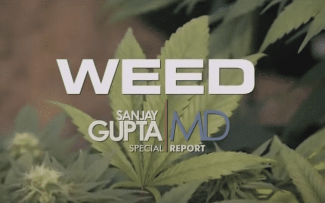 Weed: Revisiting the captivating series hosted by Dr. Sanjay Gupta